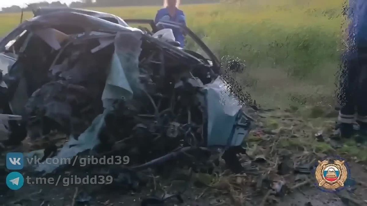 Водитель Audi врезался в дерево и погиб в Калининградской области, сообщили в Госавтоинспекции по региону