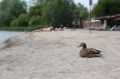 На городских пляжах «продлили» лето до 10 сентября