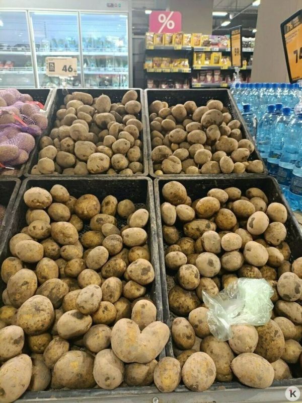 Гречка, лук и мука подорожали: как изменились цены на продукты в Калининграде Гречка, лук и мука подорожали: как изменились цены на продукты в Калининграде