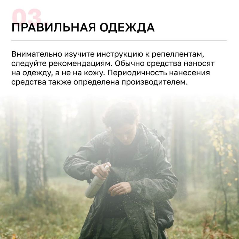 Более 4 тысяч калининградцев пострадали от клещей с начала года Более 4 тысяч калининградцев пострадали от клещей с начала года