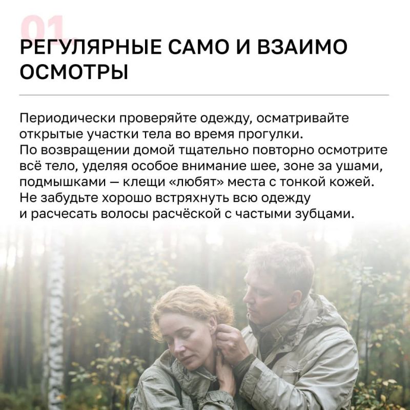 Более 4 тысяч калининградцев пострадали от клещей с начала года Более 4 тысяч калининградцев пострадали от клещей с начала года