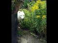 � �������� ������������ ���� �������� � ����� � ����� ������ ����� � ����� �������