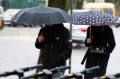 К концу недели погода в Калининградской области разгуляется