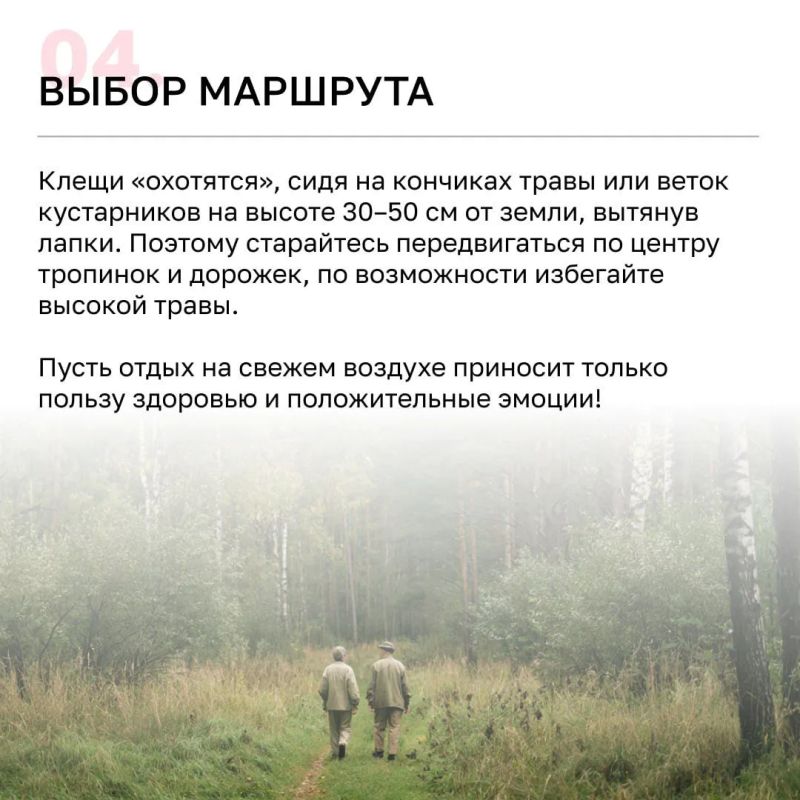 Более 4 тысяч калининградцев пострадали от клещей с начала года Более 4 тысяч калининградцев пострадали от клещей с начала года