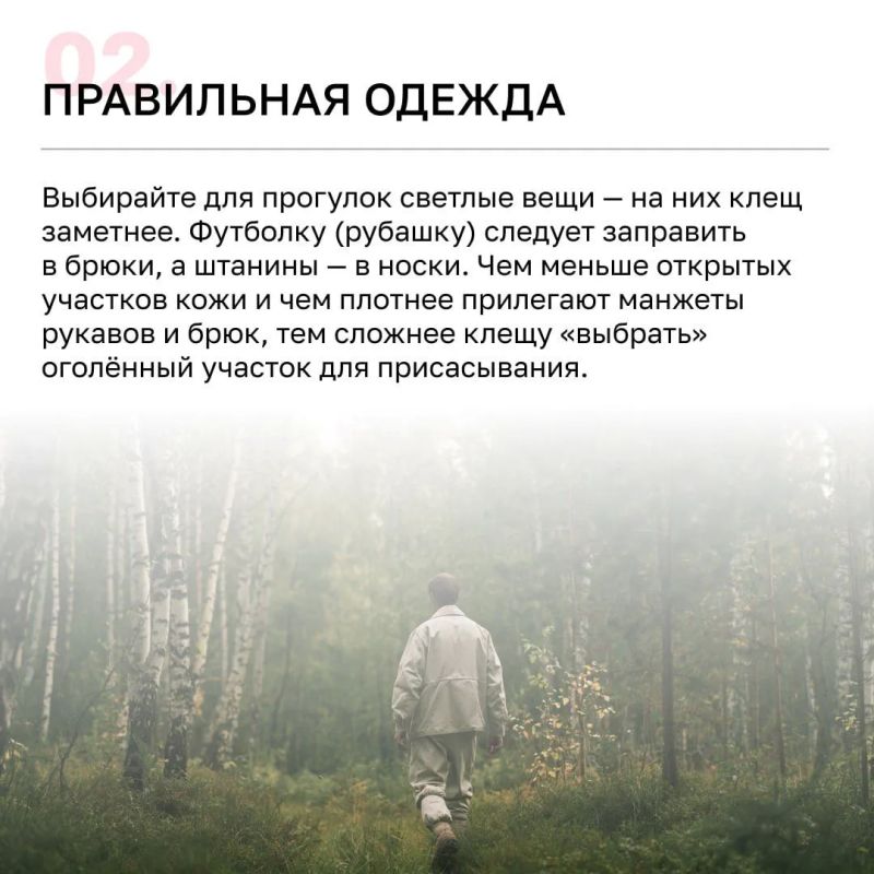 Более 4 тысяч калининградцев пострадали от клещей с начала года Более 4 тысяч калининградцев пострадали от клещей с начала года