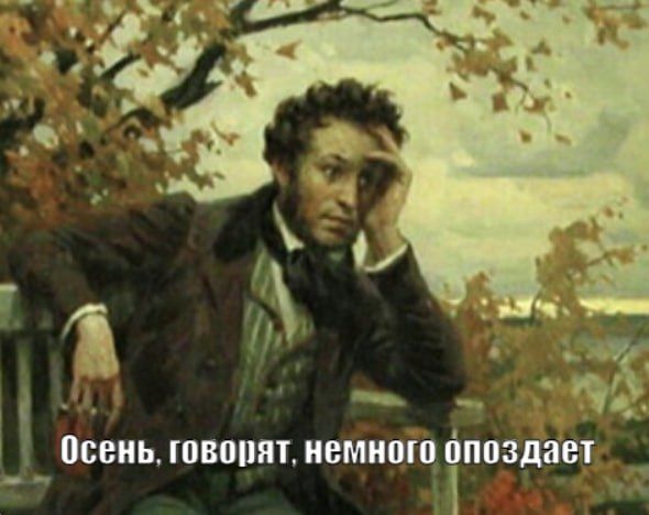 Осень немного подождёт: в Калининграде метеорологическая осень придёт позже обычного