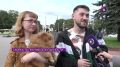 Калининградцы оценили поведение самокатчиков и велосипедистов