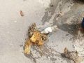 То, что выглядит как странная находка, на самом деле — содержимое канализации
