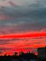 Закат над Калининградом сегодня напоминал торт «Красный бархат»