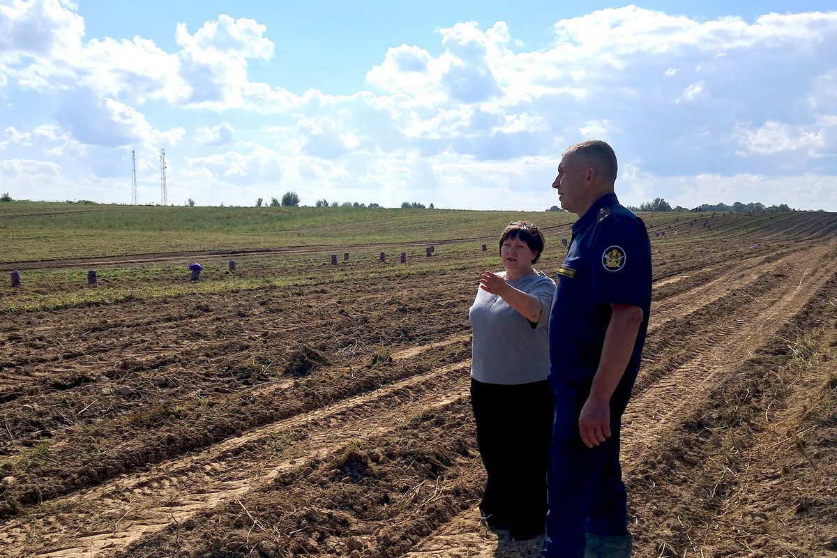 В Калининградской области расширят принудительный труд на свежем воздухе?