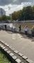 В Калининграде прохожие спасли тонущую собаку в Преголе
