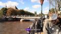 В Калининграде в суды направили шесть протоколов против «голубятников»