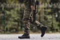 Содрогнётся половина Польши: дан жёсткий ответ на агрессию НАТО у границ РФ