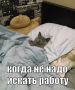 �������������� � ������� ����� ����� ���� �������, ����� ����� ����� ������