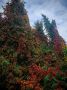 Тёплый сентябрь может задержаться в Калининградской области