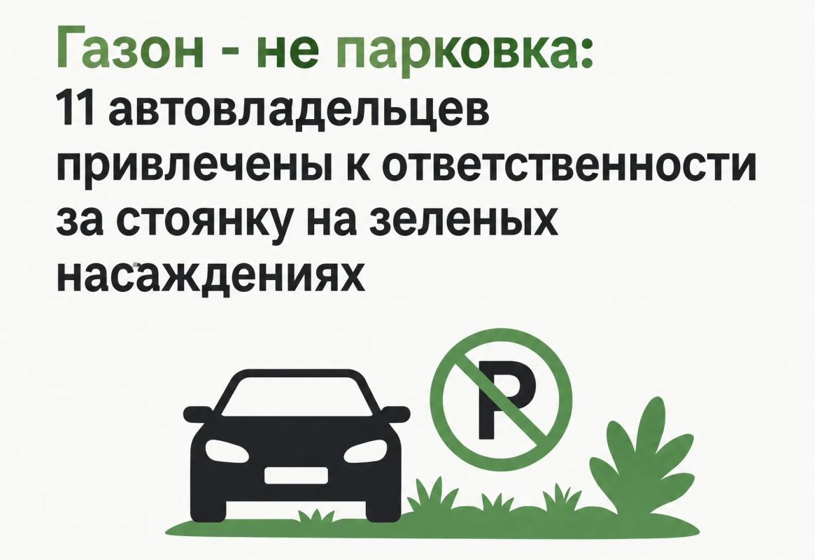 Газон — не парковка: 11 автовладельцев привлечены к ответственности за стоянку на зелёных насаждениях