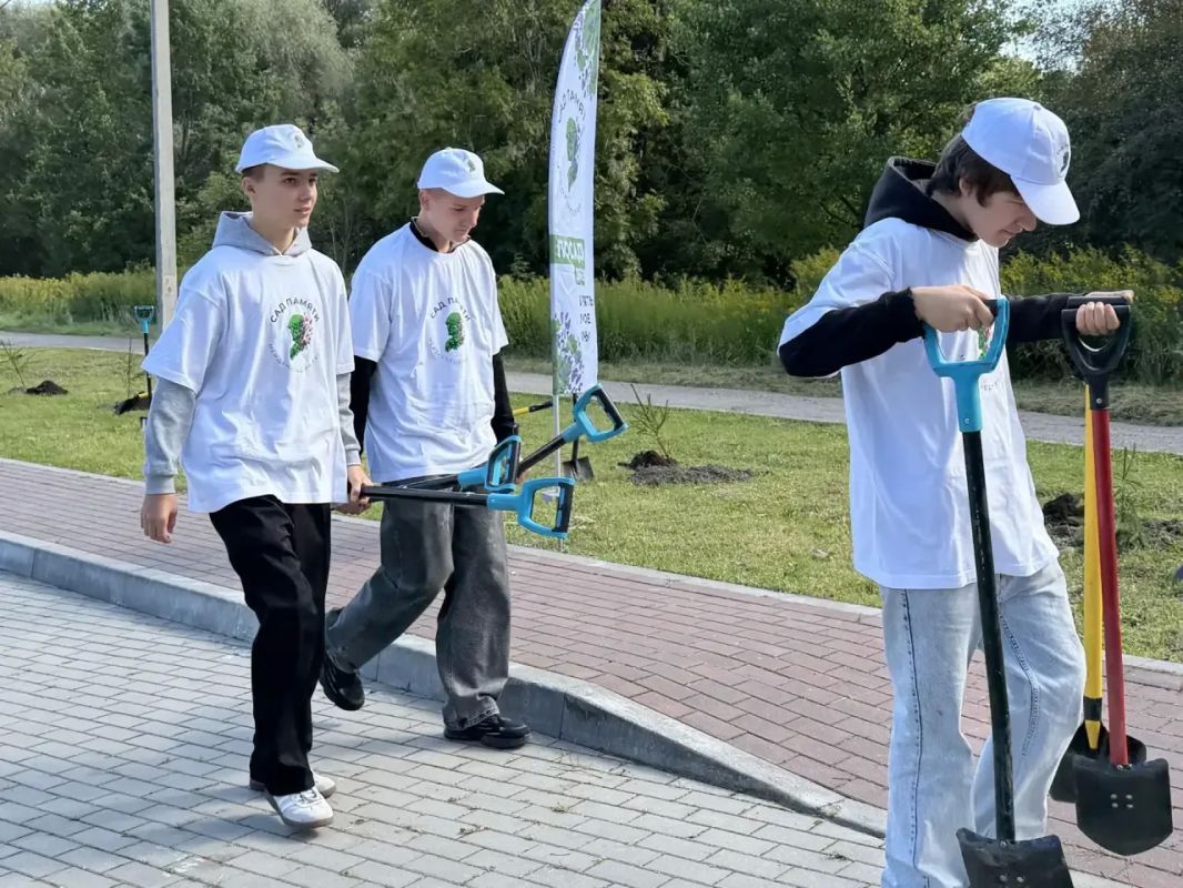 Живая память о героях: в муниципалитетах области стартовали осенние посадки международной акции «Сад памяти» Живая память о героях: в муниципалитетах области стартовали осенние посадки международной акции «Сад памяти»