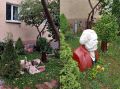 В Калининграде разбили бюст Карла Маркса