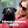 На этой неделе в Калининградской области можно отпраздновать День города Краснознаменска, пробежать «Кросс нации – 2026» и пойти на фестиваль «Другфест»