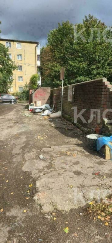После серии публикаций «Клопс» прокуратура обратила внимание на свинарник возле мусорки на Минской После серии публикаций «Клопс» прокуратура обратила внимание на свинарник возле мусорки на Минской