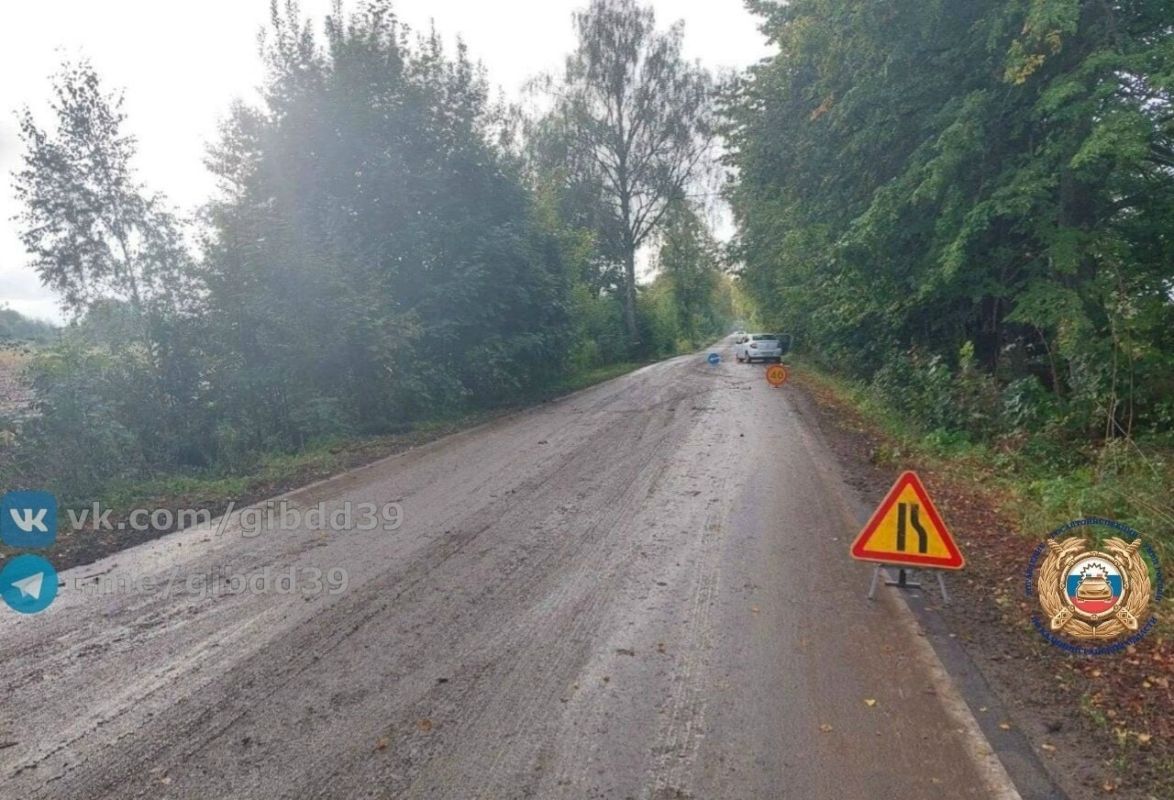 На трассе под Черняховском легковушка врезалась в дерево