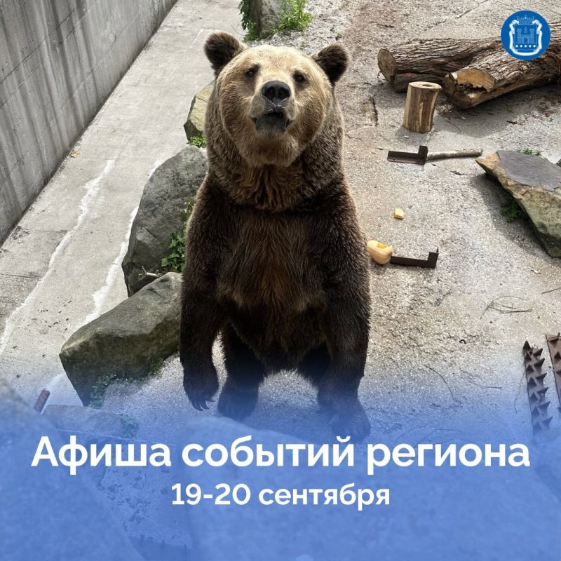 19 и 20 сентября в Калининграде пройдёт Кубок губернатора Калининградской области по волейболу