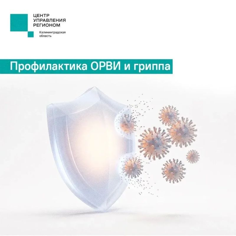 С началом осени растут риски заразиться острой респираторной вирусной инфекцией или гриппом