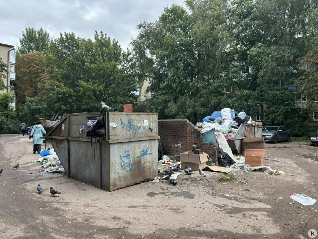 В ЕСОО изучили фото мусорных гор на Минской и прислали свои: оператор уверяет, что отходы вывозили каждый день В ЕСОО изучили фото мусорных гор на Минской и прислали свои: оператор уверяет, что отходы вывозили каждый день