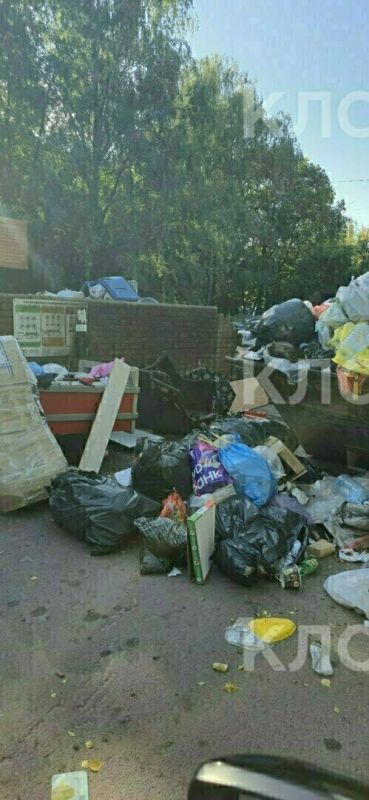 В ЕСОО изучили фото мусорных гор на Минской и прислали свои: оператор уверяет, что отходы вывозили каждый день В ЕСОО изучили фото мусорных гор на Минской и прислали свои: оператор уверяет, что отходы вывозили каждый день