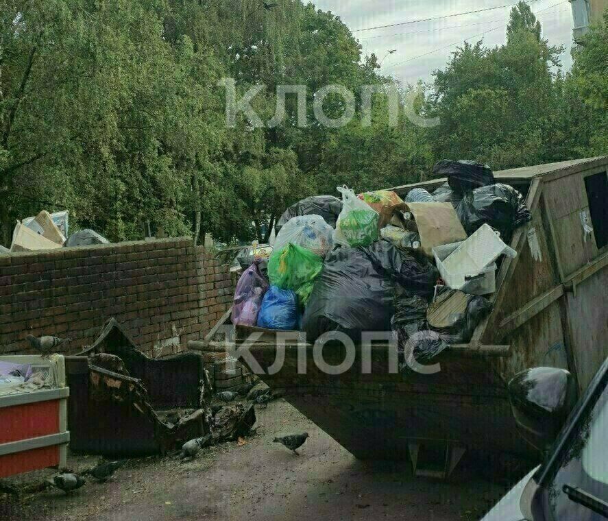 В ЕСОО изучили фото мусорных гор на Минской и прислали свои: оператор уверяет, что отходы вывозили каждый день В ЕСОО изучили фото мусорных гор на Минской и прислали свои: оператор уверяет, что отходы вывозили каждый день