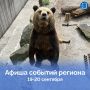 19 и 20 сентября в Калининграде пройдёт Кубок губернатора Калининградской области по волейболу