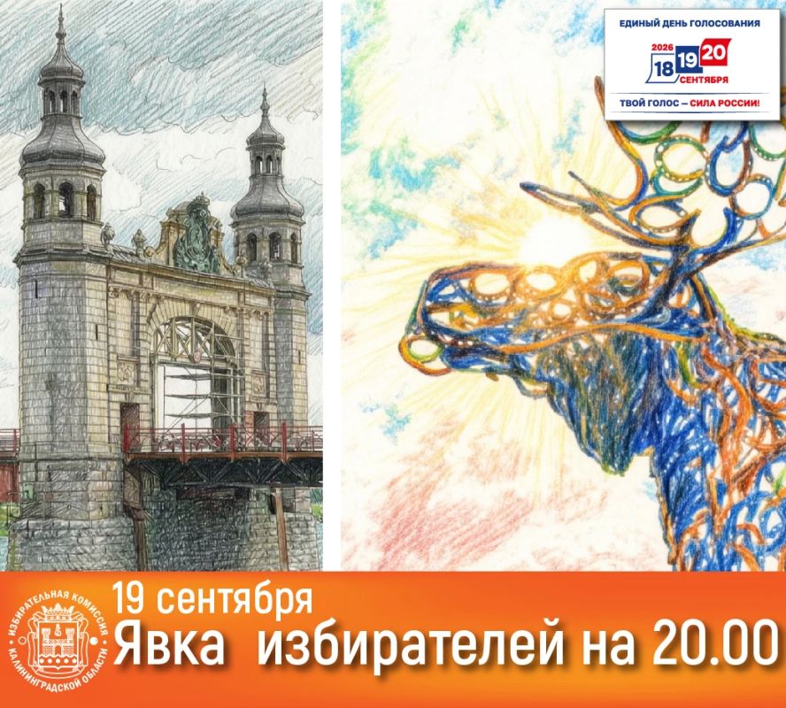 На 20 часов по итогам второго дня голосования явка на выборах в Калининградской области составила: