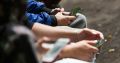В сети гуляет фейк о подорожании продовольственных и социально-значимых товаров в Калининградской области