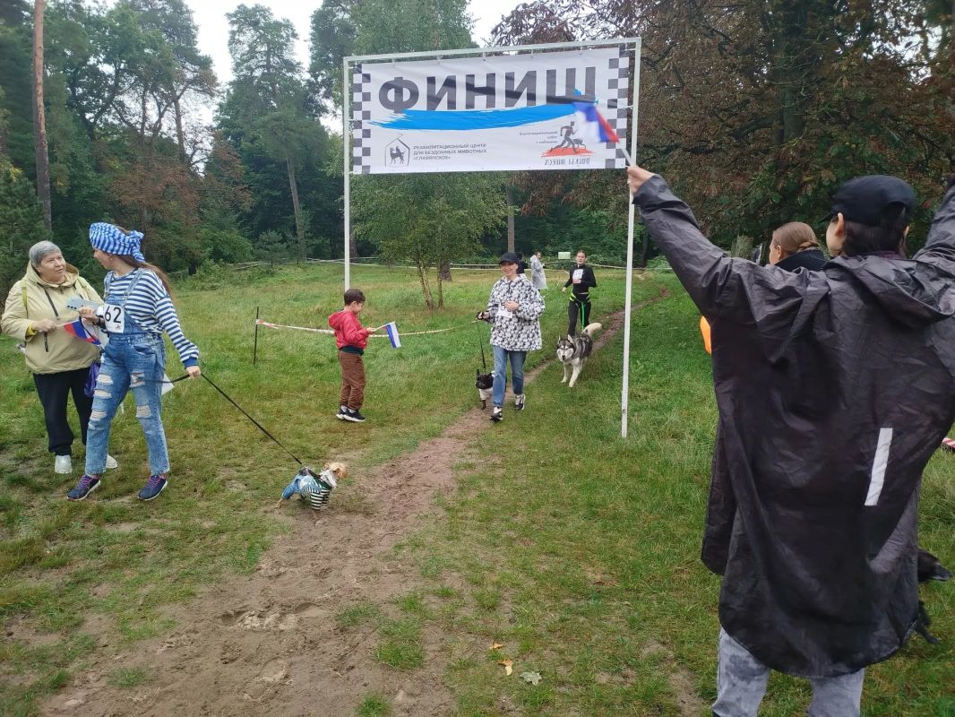 В Калининграде, в парке Теодора Кроне, состоялся благотворительный забег "Хозяин, бежим!" В Калининграде, в парке Теодора Кроне, состоялся благотворительный забег "Хозяин, бежим!"
