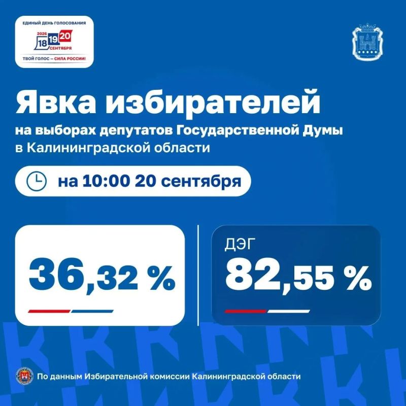 Как голосует Калининград: данные на 10:00 20 сентября Как голосует Калининград: данные на 10:00 20 сентября