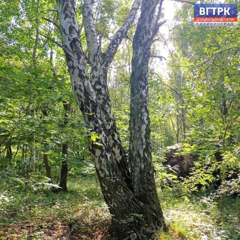 Сентябрь продолжает радовать жителей регионов удивительно теплой и солнечной погодой, даря идеальную возможность насладиться загородным отдыхом перед скорым наступлением осенних холодов Сентябрь продолжает радовать жителей регионов удивительно теплой и солнечной погодой, даря идеальную возможность насладиться загородным отдыхом перед скорым наступлением осенних холодов
