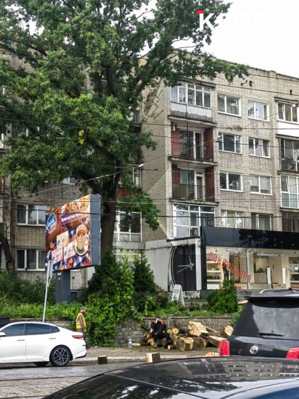 В Калининграде на проспекте Мира напротив кинотеатра «Заря» спилили крупное дерево В Калининграде на проспекте Мира напротив кинотеатра «Заря» спилили крупное дерево