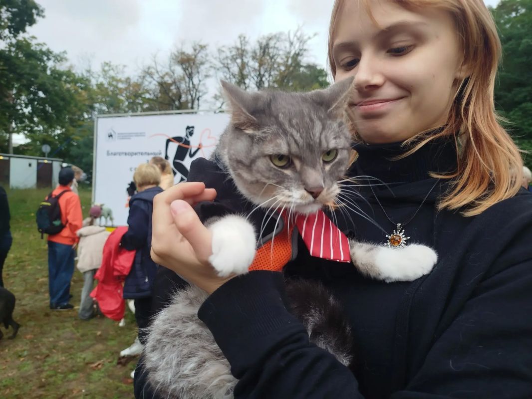 В Калининграде, в парке Теодора Кроне, состоялся благотворительный забег "Хозяин, бежим!" В Калининграде, в парке Теодора Кроне, состоялся благотворительный забег "Хозяин, бежим!"