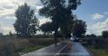 Mercedes в кювет, Citron в дерево: на дорогах области две юные водительницы разбили своих железных коней