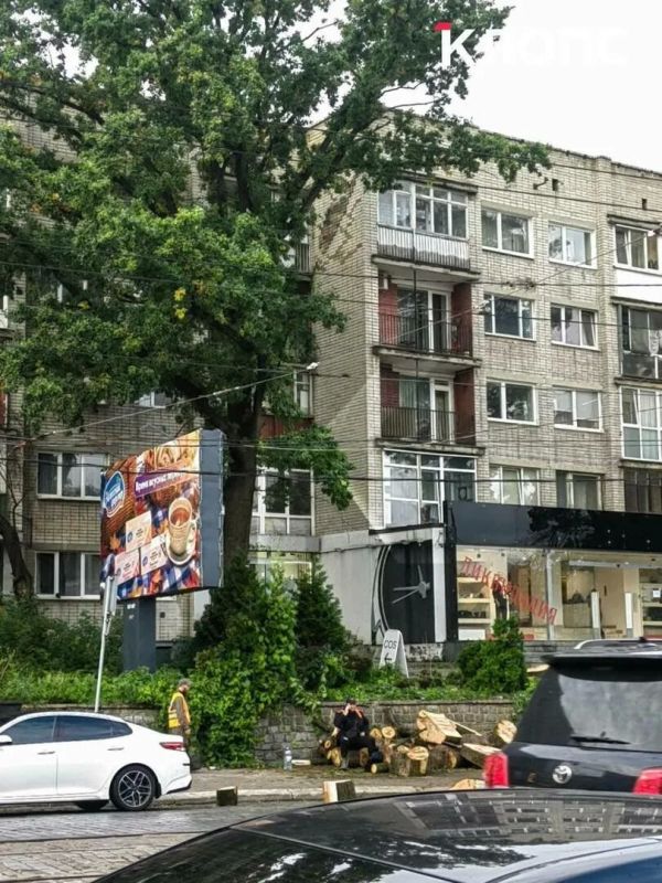 На проспекте Мира напротив «Зари» спилили огромное дерево: горожане переживают за два соседних На проспекте Мира напротив «Зари» спилили огромное дерево: горожане переживают за два соседних