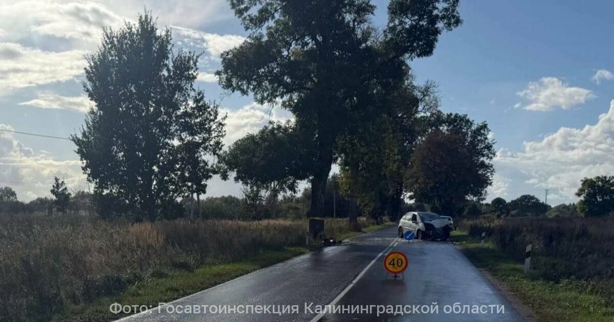 Mercedes в кювет, Citron в дерево: на дорогах области две юные водительницы разбили своих железных коней