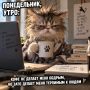 Всем бодрого начала недели!