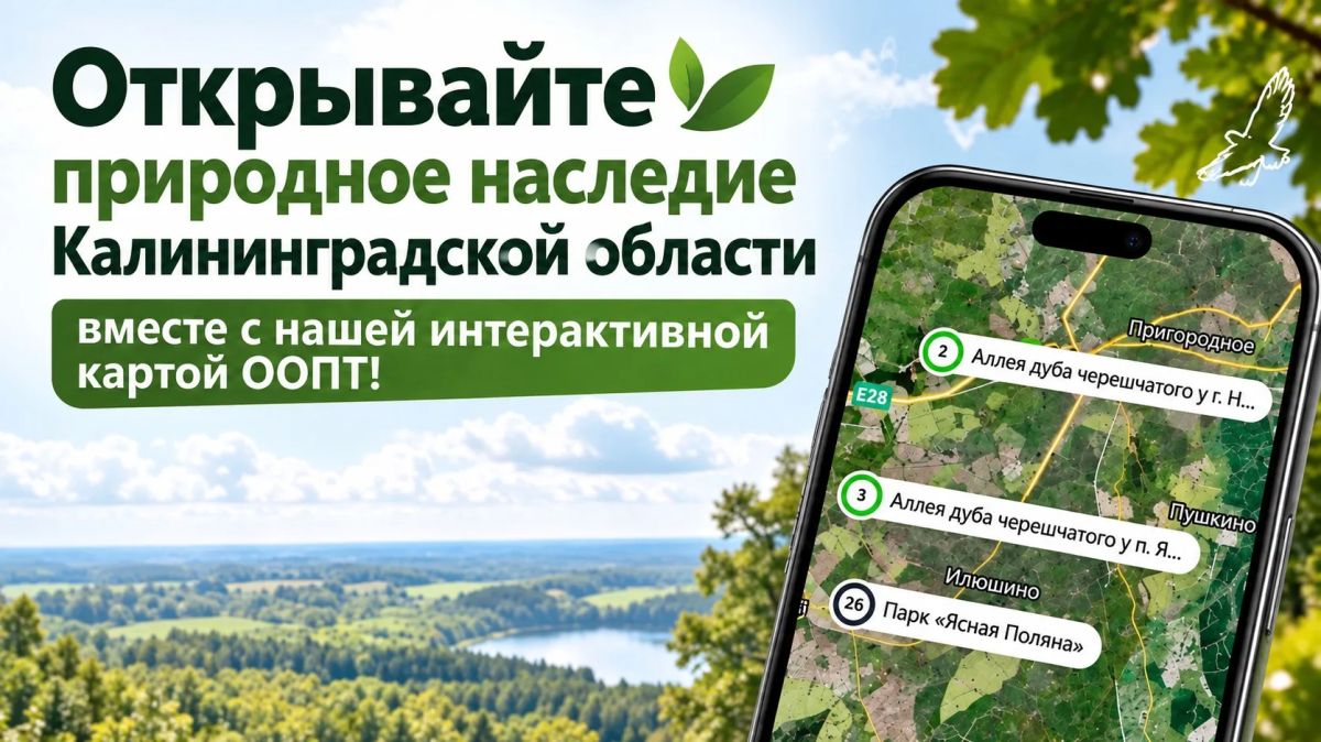 Открывайте природное наследие Калининградской области вместе с нашей интерактивной картой ООПТ!