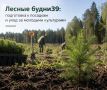 Лесные будни39: подготовка к федеральной акции «Сохраним лес» и уход за молодыми культурами