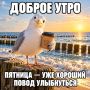Всем лёгкого и продуктивного дня!