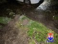 Житель Калининграда торговал выкопанными им под Полесском туями