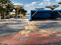 В Зеленоградске выросло дерево желаний туристов