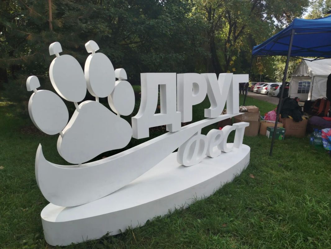 Три цитаты руководителей приютов для бездомных животных и одного «собачника» со стажем: