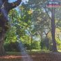 Осень незаметно подкрадывается на рыжих лапках – и город потихоньку меняет краски