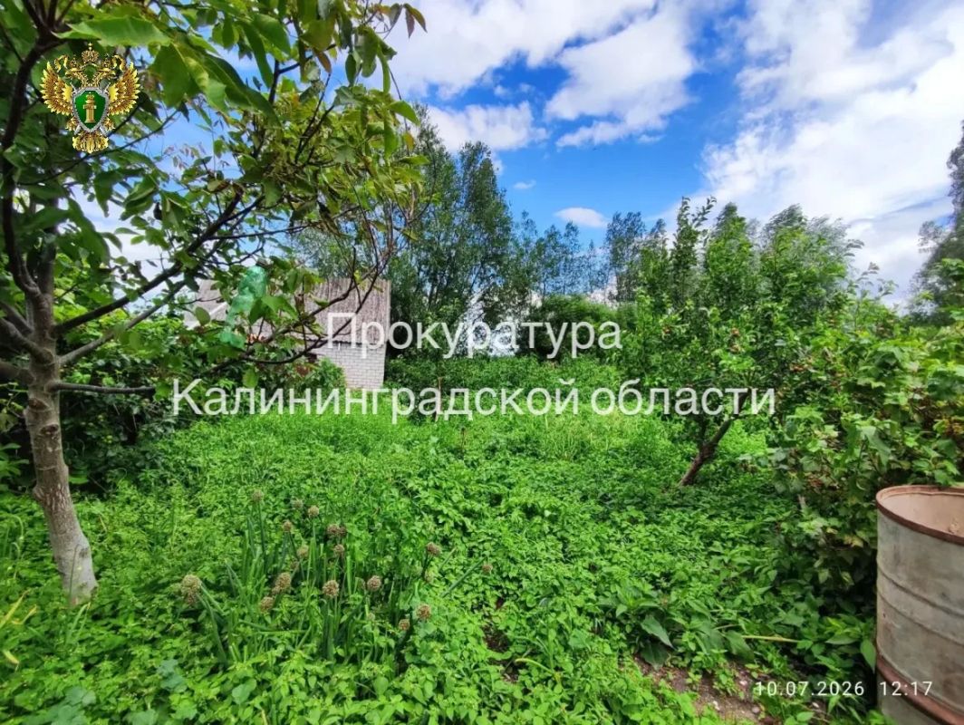 По иску прокуратуры в государственную собственность возвращен земельный участок на побережье Куршского залива По иску прокуратуры в государственную собственность возвращен земельный участок на побережье Куршского залива